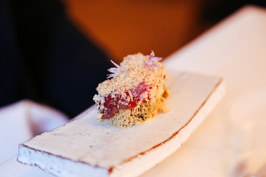 Horse "sushi" on dried lichens with frozen, raw foie gras
